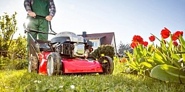 Gardening