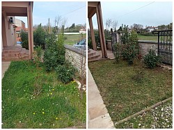 Gardening